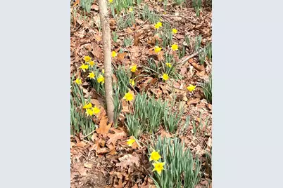 3085 Kaolin Road, Cobden, IL 62920 - Photo 72