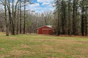 3085 Kaolin Rd, Cobden, IL 62920 - Photo 44