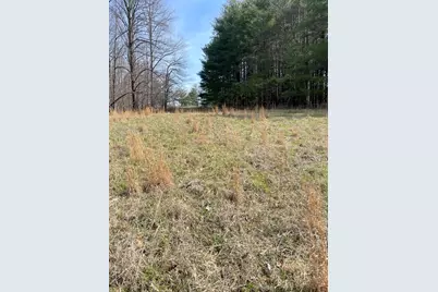 3085 Kaolin Road, Cobden, IL 62920 - Photo 84