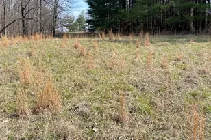 3085 Kaolin Rd, Cobden, IL 62920 - Photo 84