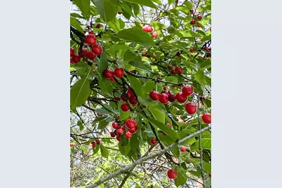 8106 Maple Street, Marengo, IL 60152 - Photo 40