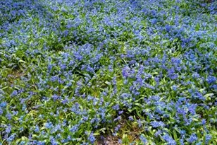 4910 Taffy Ct, Richmond, IL 60071 - Photo 4