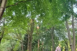 4910 Taffy Ct, Richmond, IL 60071 - Photo 10