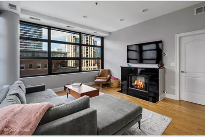 101 W Superior Street #706, Chicago, IL 60654 - Photo 10