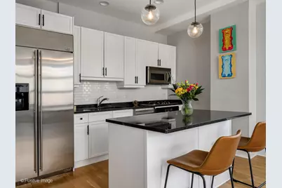 101 W Superior Street #706, Chicago, IL 60654 - Photo 12