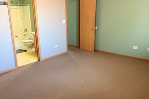 701 Davidson Dr, Minooka, IL 60447 - Photo 10