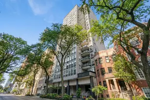 30 E Elm St, Chicago, IL 60611 - Photo 1