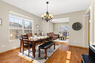 402 S Palmer Dr, Bolingbrook, IL 60490 - Photo 8