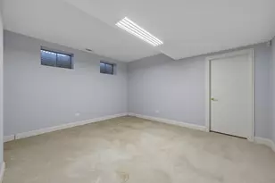 11361 W Plainfield Rd, Indian Head Park, IL 60525 - Photo 50