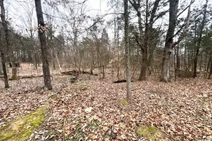 526 Power Plant Rd, Marion, IL 62959 - Photo 40