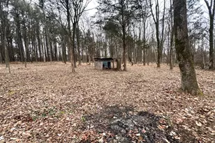 526 Power Plant Rd, Marion, IL 62959 - Photo 50