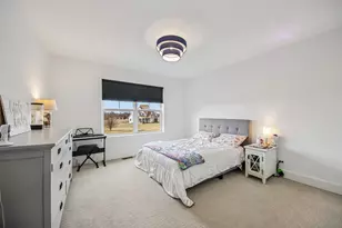 3276 Cornflower Way, Spring Grove, IL 60081 - Photo 28