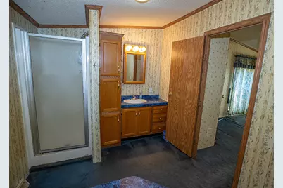 190 Schwartz Hill Lane, Vienna, IL 62995 - Photo 12