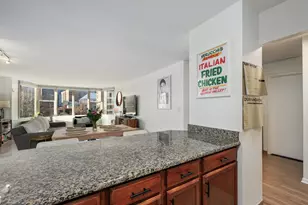 525 W Hawthorne Pl, Chicago, IL 60657 - Photo 12