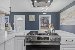 3910 W 85th St, Chicago, IL 60652 - Photo 10