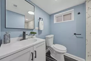 3910 W 85th St, Chicago, IL 60652 - Photo 22