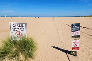 4250 N Marine Dr, Chicago, IL 60613 - Photo 32