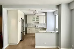 7061 N Kedzie Ave, Chicago, IL 60645 - Photo 6