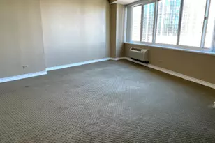 211 E Ohio St, Chicago, IL 60611 - Photo 4