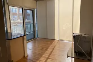 1720 S Michigan Ave, Chicago, IL 60616 - Photo 4