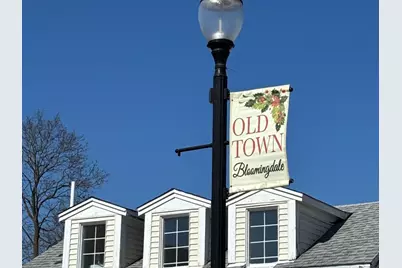 110 Day Street #101, Bloomingdale, IL 60108 - Photo 34