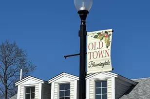 110 Day St, Bloomingdale, IL 60108 - Photo 34