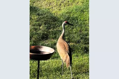 1173 Sonoma Court, Pingree Grove, IL 60140 - Photo 28