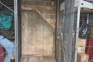 149 Callan Ave, Evanston, IL 60202 - Photo 20