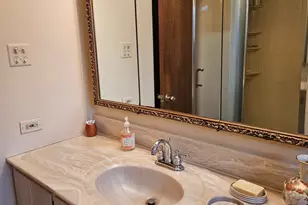 3700 Woodland Ln, Downers Grove, IL 60515 - Photo 22