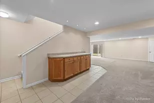 47 Regent Dr, Gilberts, IL 60136 - Photo 24