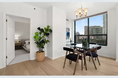 400 W Ontario Street #801, Chicago, IL 60654 - Photo 20