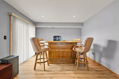 22380 Karlov Avenue, Richton Park, IL 60471 - Photo 12