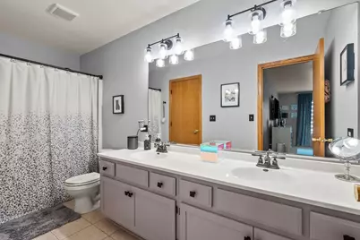 22380 Karlov Avenue, Richton Park, IL 60471 - Photo 16