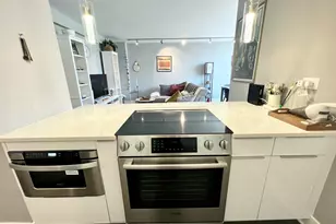 1455 N Sandburg Terrace, Chicago, IL 60610 - Photo 4