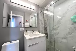 1455 N Sandburg Terrace, Chicago, IL 60610 - Photo 12