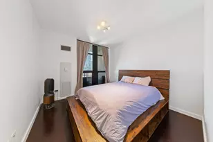 1255 S State St, Chicago, IL 60605 - Photo 8