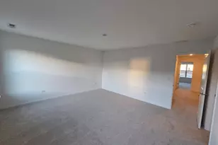 248 Cooney Wy, Oswego, IL 60543 - Photo 12