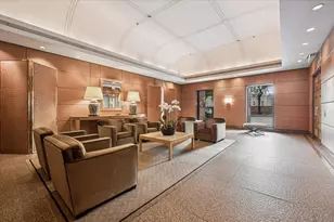 161 E Chicago Ave, Chicago, IL 60611 - Photo 36