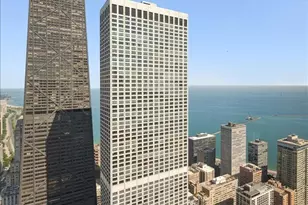 161 E Chicago Ave, Chicago, IL 60611 - Photo 4