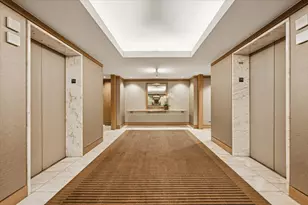 161 E Chicago Ave, Chicago, IL 60611 - Photo 34