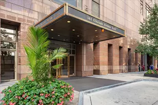 161 E Chicago Ave, Chicago, IL 60611 - Photo 38