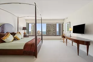 161 E Chicago Ave, Chicago, IL 60611 - Photo 18