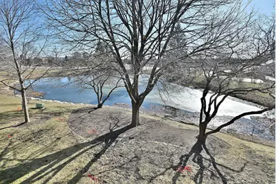 745 Whalom Lane #745, Schaumburg, IL 60173 - Photo 42