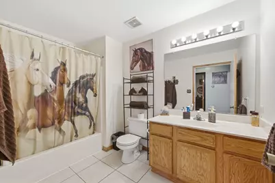 24325 S Meadowood Road, Crete, IL 60417 - Photo 14