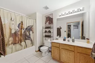 24325 S Meadowood Rd, Crete, IL 60417 - Photo 14