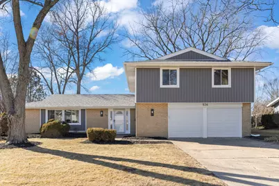526 S Springinsguth Road, Schaumburg, IL 60193 - Photo 1
