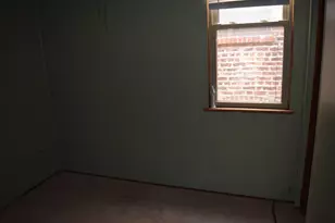 3240 S Parnell Ave, Chicago, IL 60616 - Photo 12