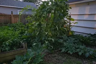 343 Evans Ave, Aurora, IL 60505 - Photo 32