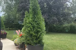 480 Nebraska B Ct, Frankfort, IL 60423 - Photo 46