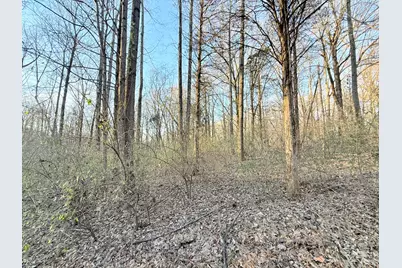 215 Tucker Hill Road, Cave In Rock, IL 62919 - Photo 6